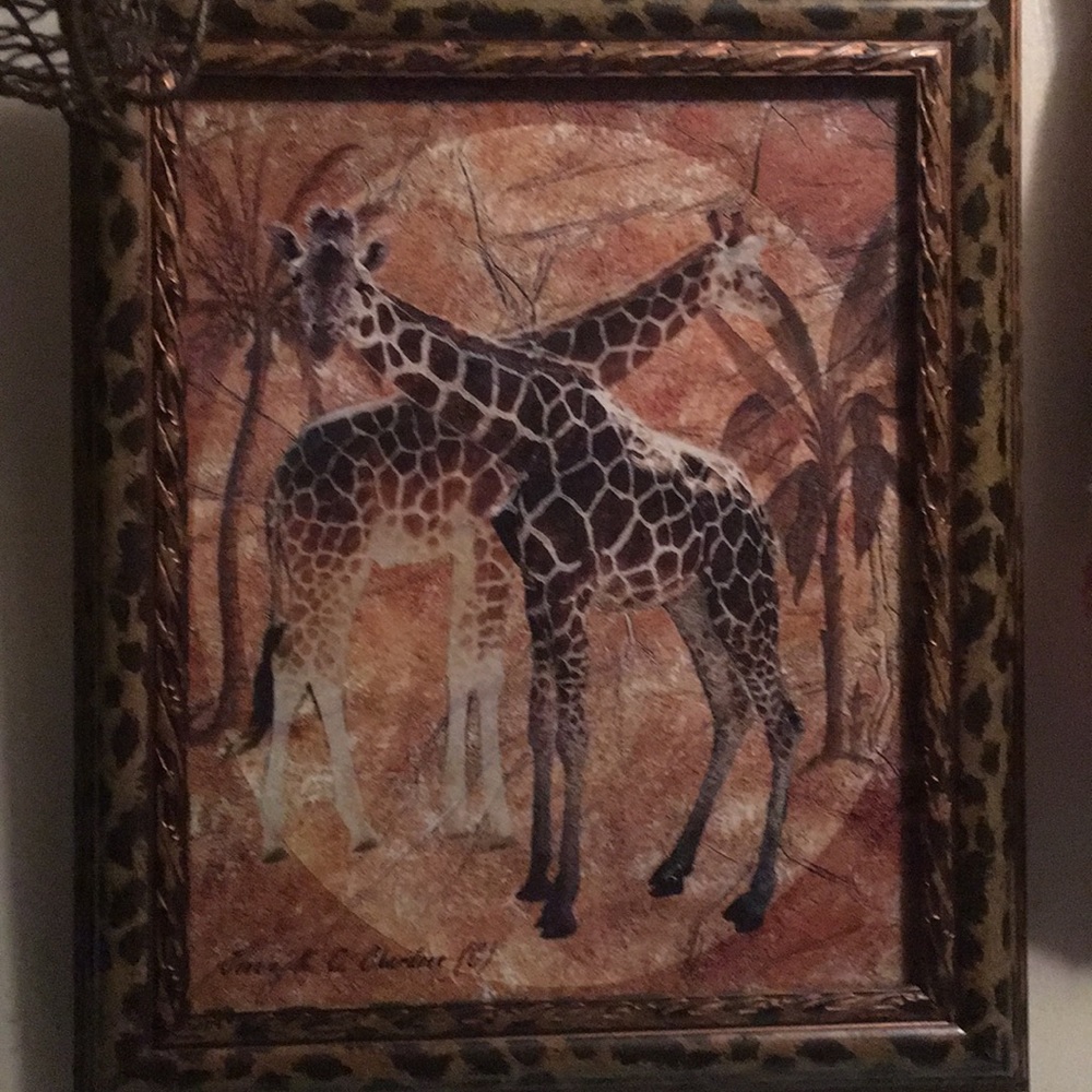8•10 giraffe pic